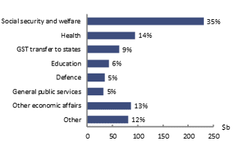 2020-21 MYEFO Figure 11: Composition of expenses in 2020-21