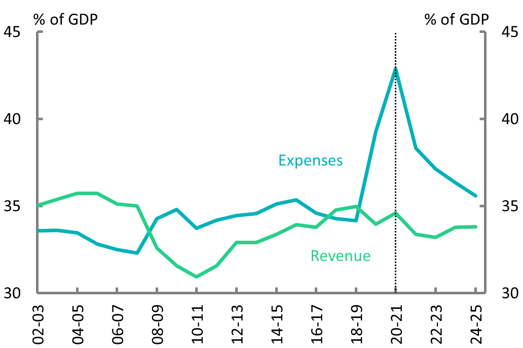 Figure 1C: Revenue and expenses