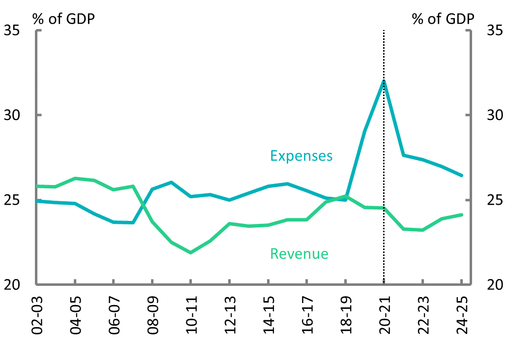 Figure 2C: Revenue and expenses