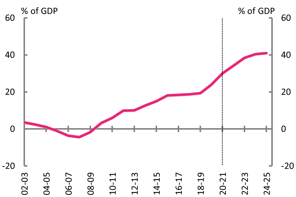 Figure 2D: Net debt