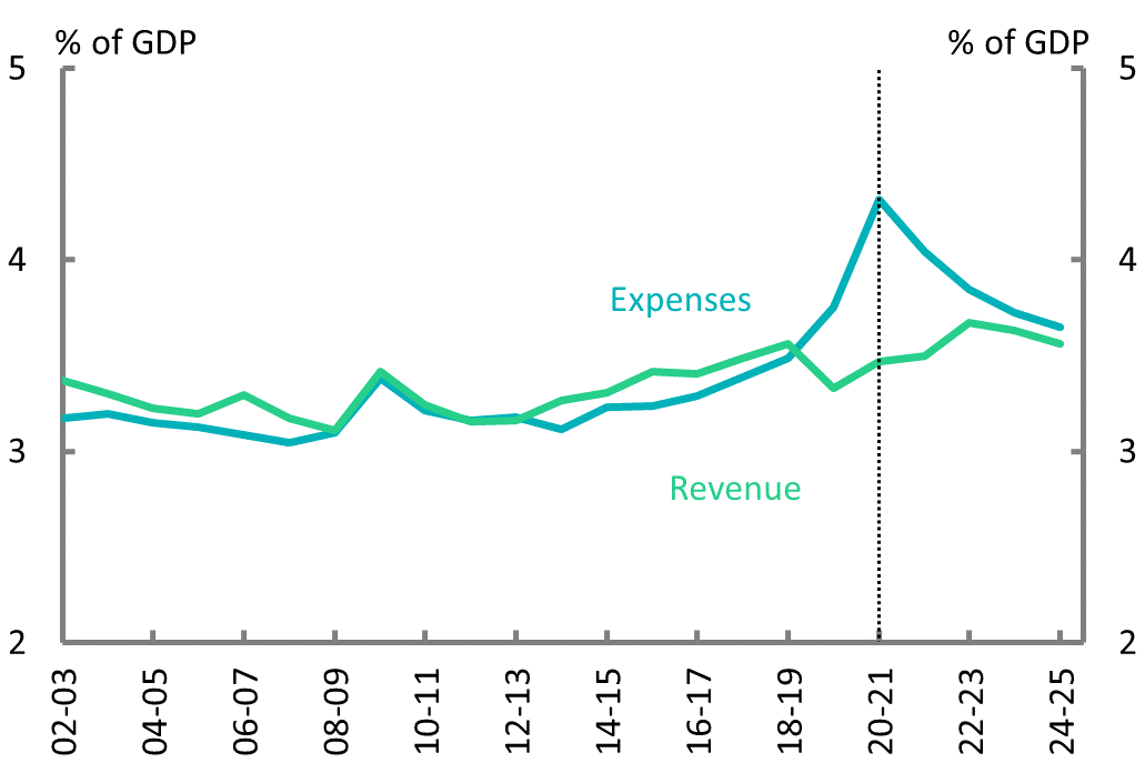 Figure 4C: Revenue and expenses